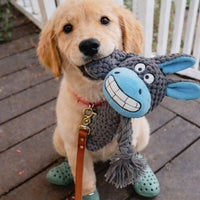 L'indestructible™ — Peluche pour chien