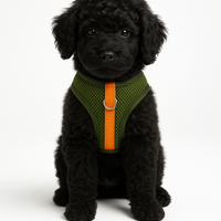 The Walker – Dog Harness