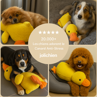 Le Zen™ — Canard Anti-Stress Apaisant