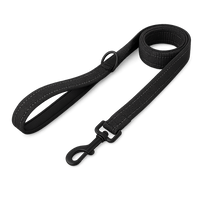 Walking 2.0 β Dog Leash