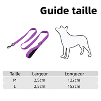 La Marche™ — Laisse pour chien