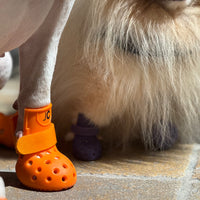 Bottines Aérées™ pour chien – Protection coussinets été | JOLICHIEN®