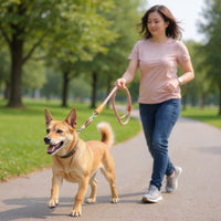 La Marche™ 2.0 — Laisse pour chien