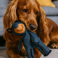 L'indestructible™ — Peluche pour chien