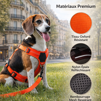 Le Confort™ — Harnais pour chien respirant et ajustable