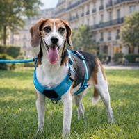 Le Confort™ — Harnais pour chien respirant et ajustable