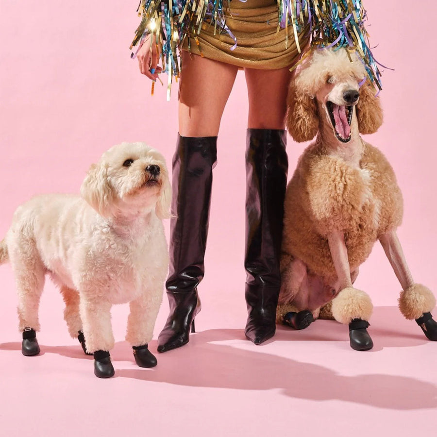 The Guard – Robuste Allwetter-Hundestiefel