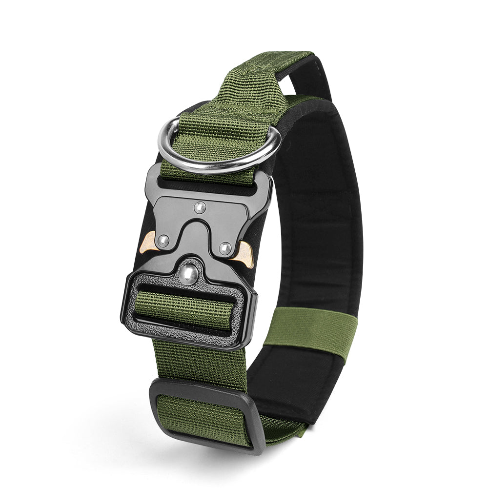 Le Citadin™ — Collier pour chien