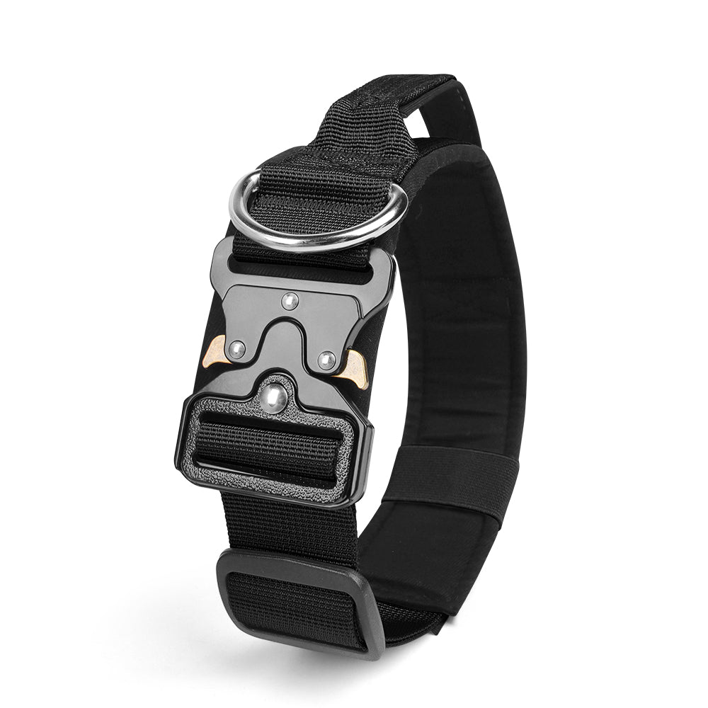 Le Citadin™ — Collier pour chien