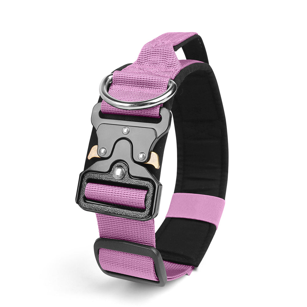 Le Citadin™ — Collier pour chien