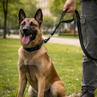 Laisse Amortisseur™ — Anti-À-Coups pour Chien