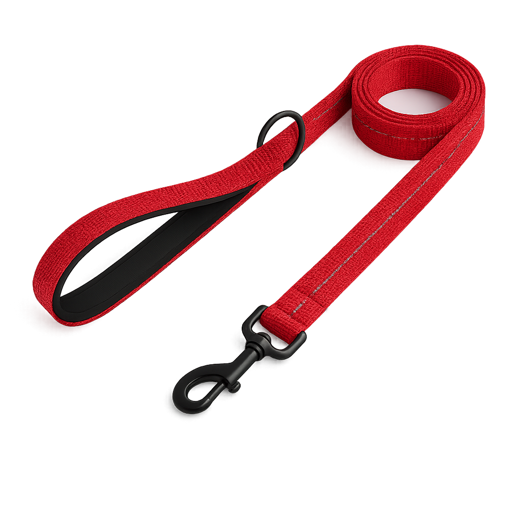 La Marche 2.0 – Laisse pour chien