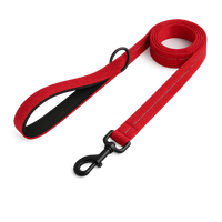 La Marche 2.0 – Laisse pour chien