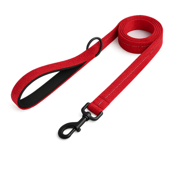 La Marche 2.0 – Laisse pour chien