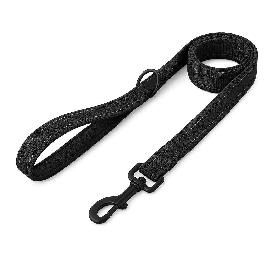 La Marche 2.0 – Laisse pour chien