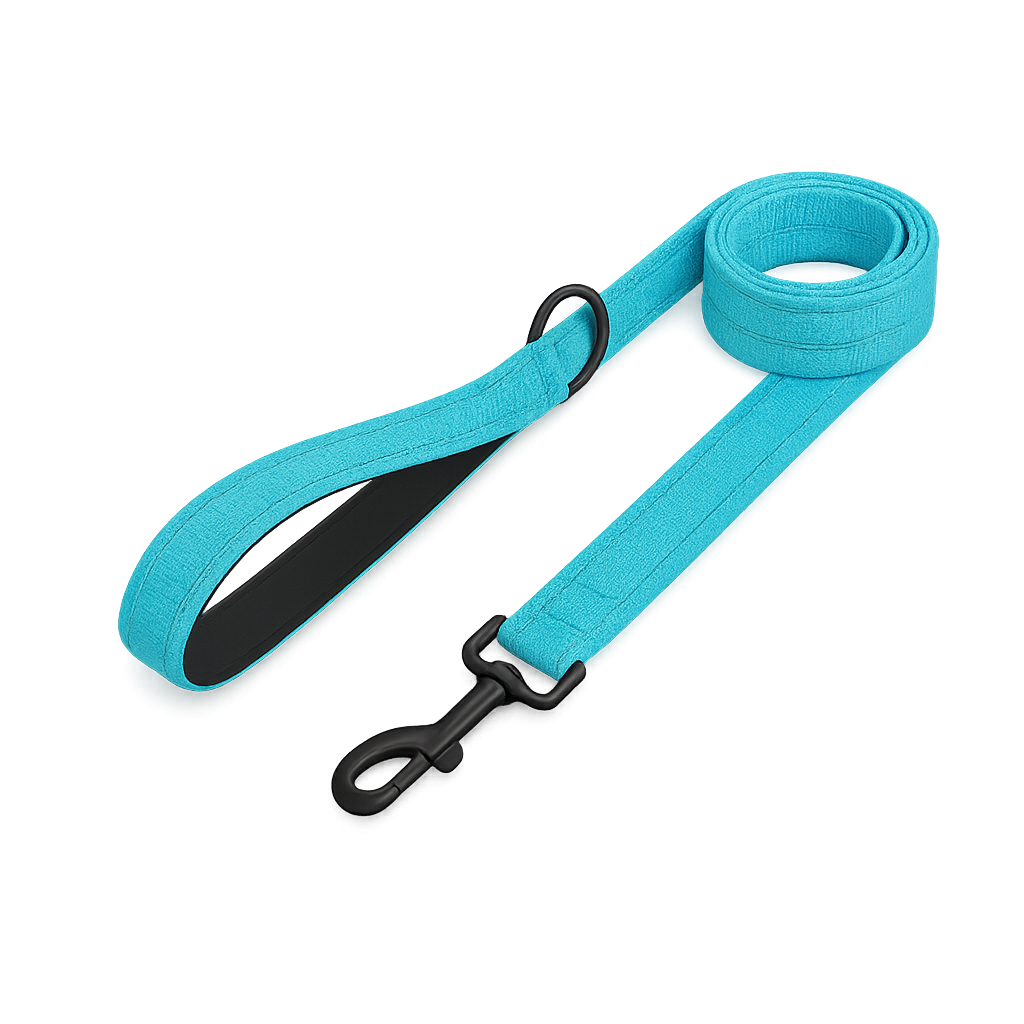 La Marche 2.0 – Laisse pour chien