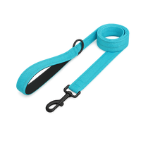 La Marche 2.0 – Laisse pour chien