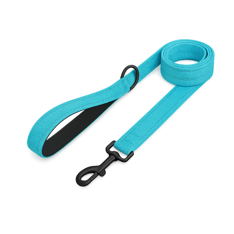 La Marche 2.0 – Laisse pour chien