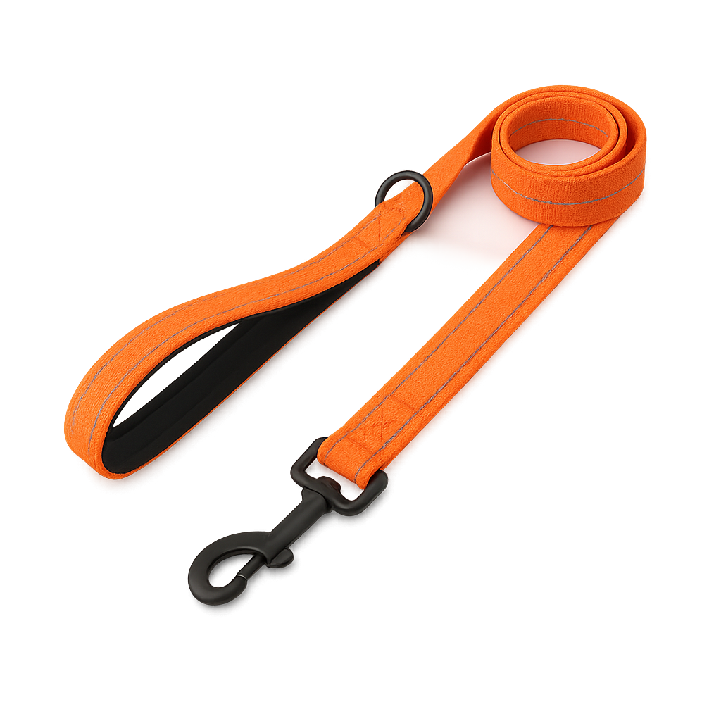 La Marche 2.0 – Laisse pour chien