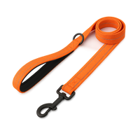 La Marche 2.0 – Laisse pour chien