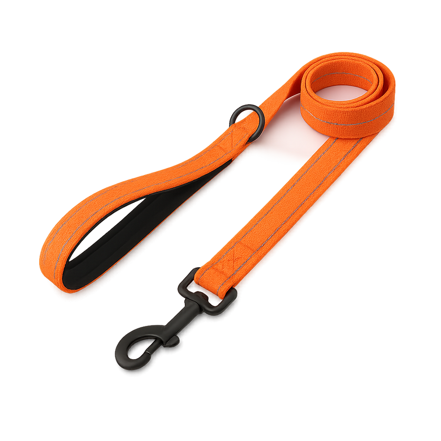 La Marche 2.0 – Laisse pour chien