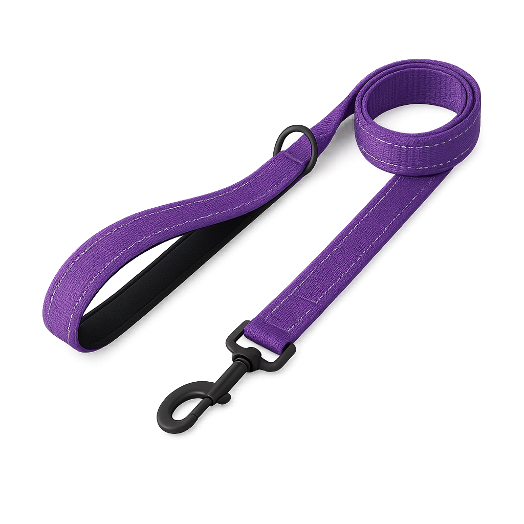 La Marche 2.0 – Laisse pour chien