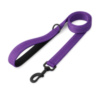 La Marche 2.0 – Laisse pour chien