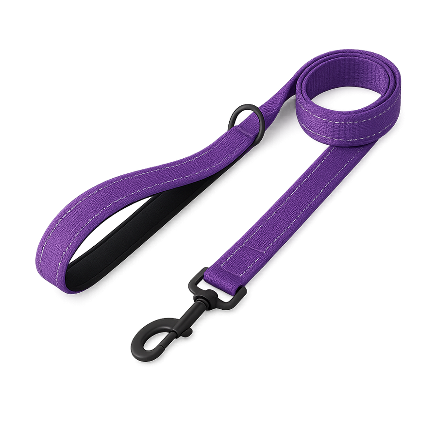 La Marche 2.0 – Laisse pour chien