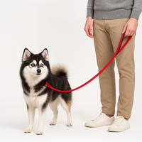 La Marche 2.0 – Laisse pour chien