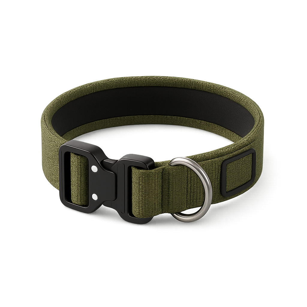 Le Citadin — Collier pour chien