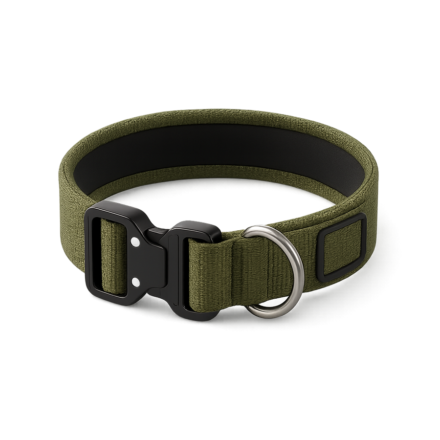 Le Citadin — Collier pour chien