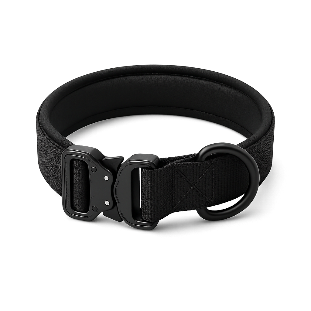Le Citadin — Collier pour chien