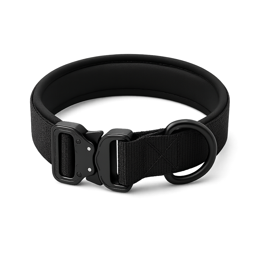 Le Citadin — Collier pour chien