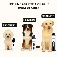 PattesDouces™ — Lime à ongles électrique