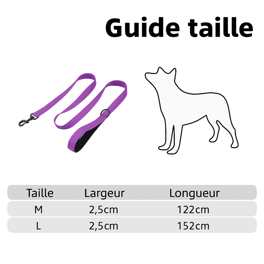 La Marche™ — Laisse pour chien