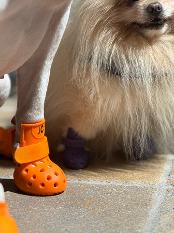 Bottines Aérées™ pour chien – Protection coussinets été | JOLICHIEN™
