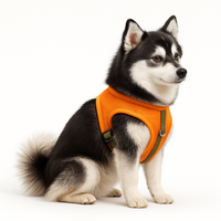 Le Promeneur – Harnais pour chien