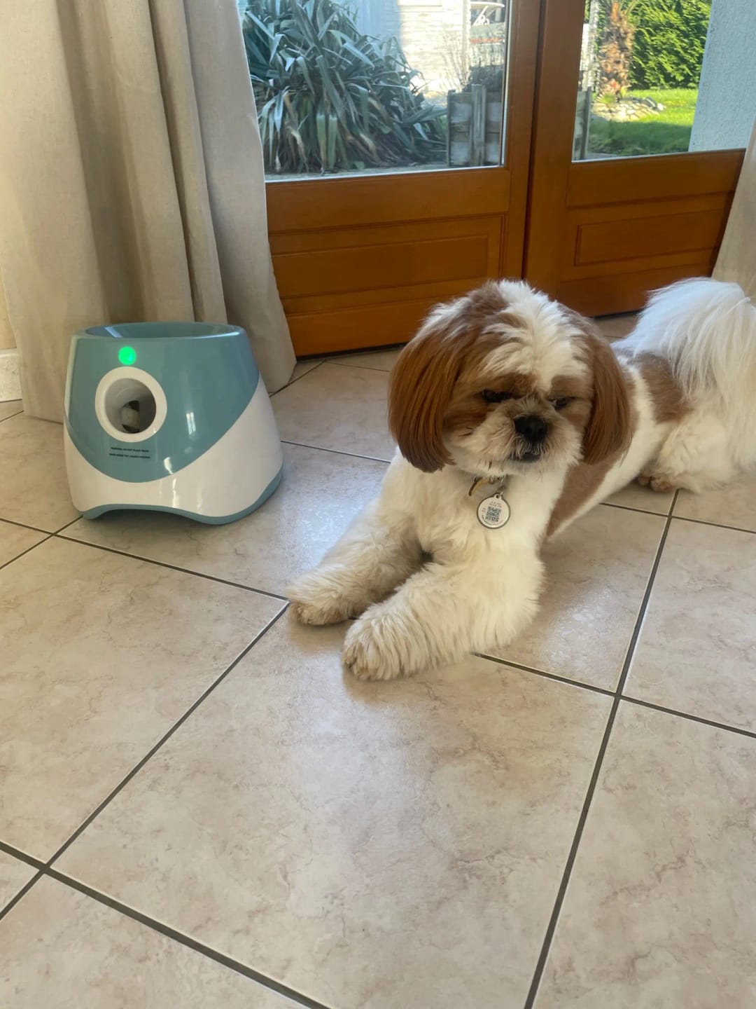 JoliBalle™ – Lanceur de Balle Automatique